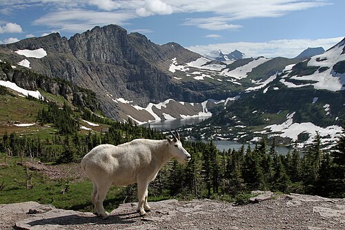 Glacier National Park (U.S.)